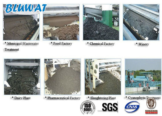 Αγορά Άσπρο κατιονικό Polyacrylamide σκονών για την απομάκρυνση νερού λάσπης σε απευθείας σύνδεση κατασκευή