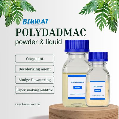 Αγορά Οργανισμός αποβρύσματος και αποχρωματισμού λάσπης για την επεξεργασία λυμάτων σε απευθείας σύνδεση κατασκευή